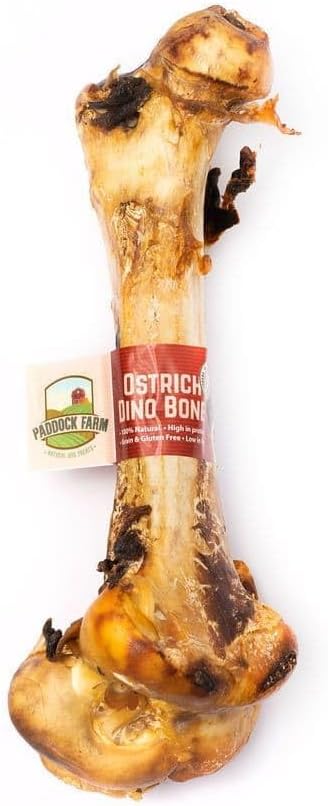 Ostrich Dino Bone For Dogs - Natural Dog Bones