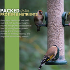 5L bag Premium Sunflower Heart Seeds Wild Bird Food – High Energy, No Mess Bird Feed