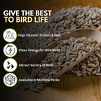 5L bag Premium Sunflower Heart Seeds Wild Bird Food – High Energy, No Mess Bird Feed