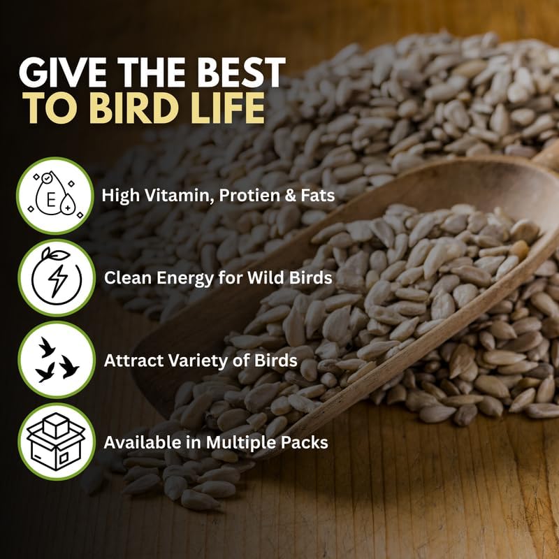 5L bag Premium Sunflower Heart Seeds Wild Bird Food – High Energy, No Mess Bird Feed