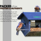 1 Litre - Mealworms Tub Wild Bird Food – High Energy, No Mess Bird Feed