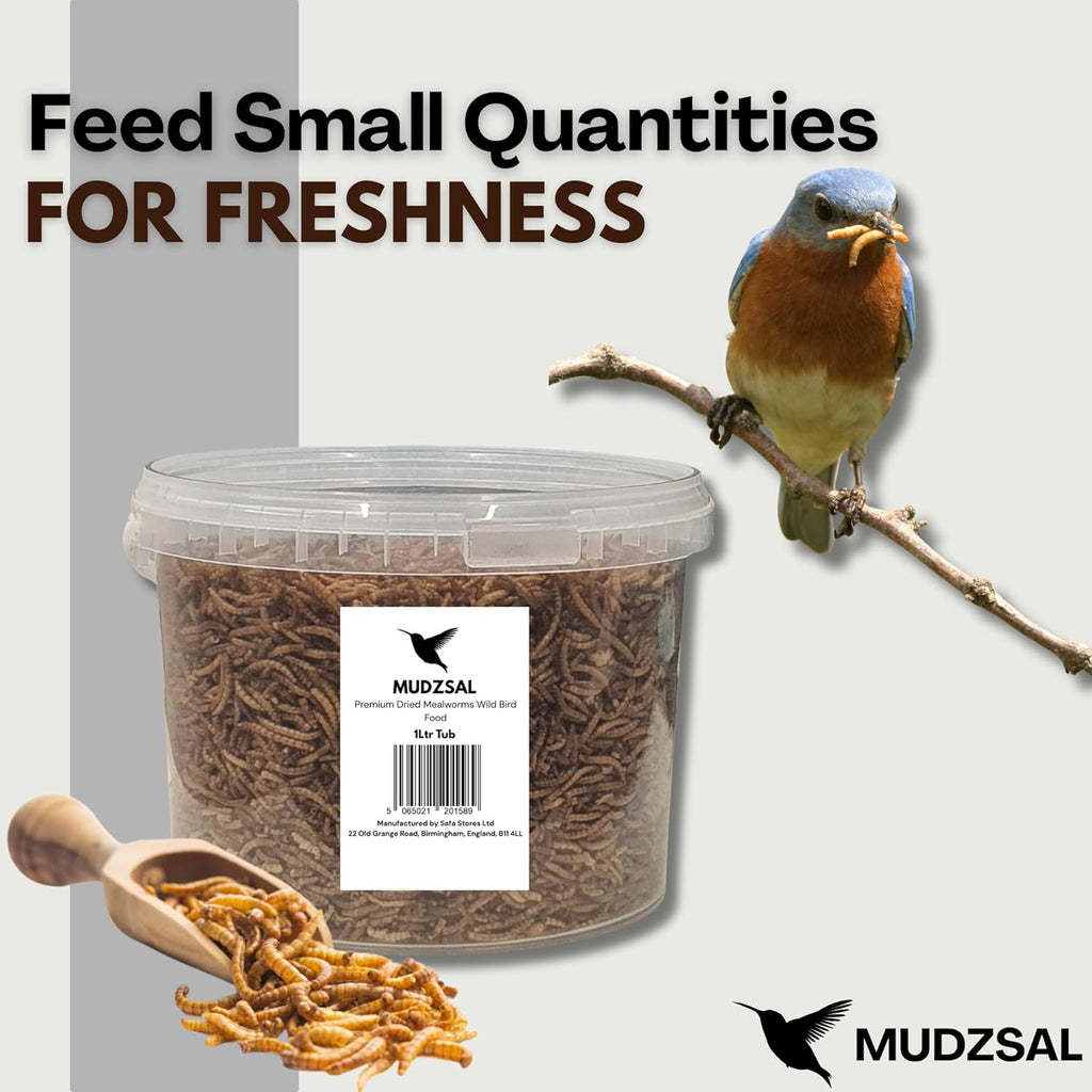 1 Litre - Mealworms Tub Wild Bird Food – High Energy, No Mess Bird Feed