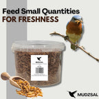1 Litre - Mealworms Tub Wild Bird Food – High Energy, No Mess Bird Feed