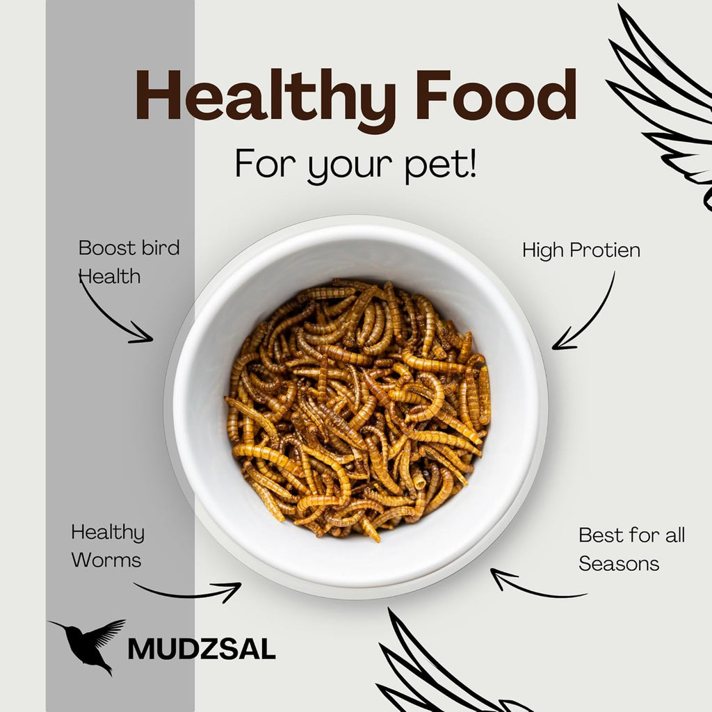 1 Litre - Mealworms Tub Wild Bird Food – High Energy, No Mess Bird Feed