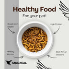 1 Litre - Mealworms Tub Wild Bird Food – High Energy, No Mess Bird Feed