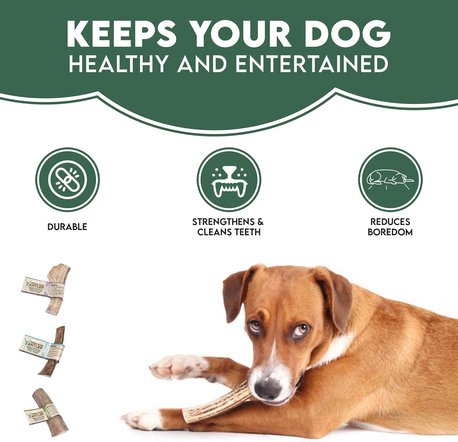 100% Natural SPLIT Antler Dog Chews The Hypo-Allergenic Dog Chew Like Stagbar (Weight - Small 30 - 50g), Size May Vary