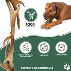 100% Natural SPLIT Antler Dog Chews The Hypo-Allergenic Dog Chew Like Stagbar (Weight - Small 30 - 50g), Size May Vary