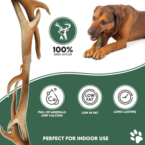 100% Natural SPLIT Antler Dog Chews The Hypo-Allergenic Dog Chew Like Stagbar (Weight - Small 30 - 50g), Size May Vary
