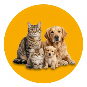 Pet Supplies