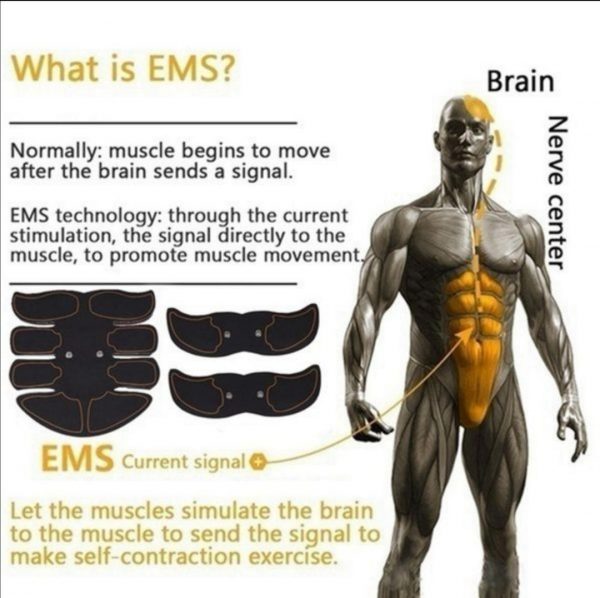 EMS Abdominal Muscle Trainer image4