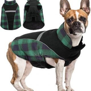 Hjyokuso Windproof Dog Coat image1