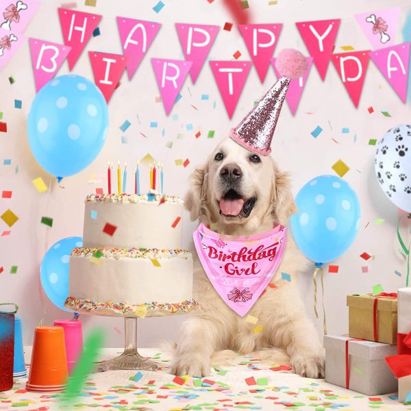 ADXCO 11 Pack Pink Dog Birthday Hat image1